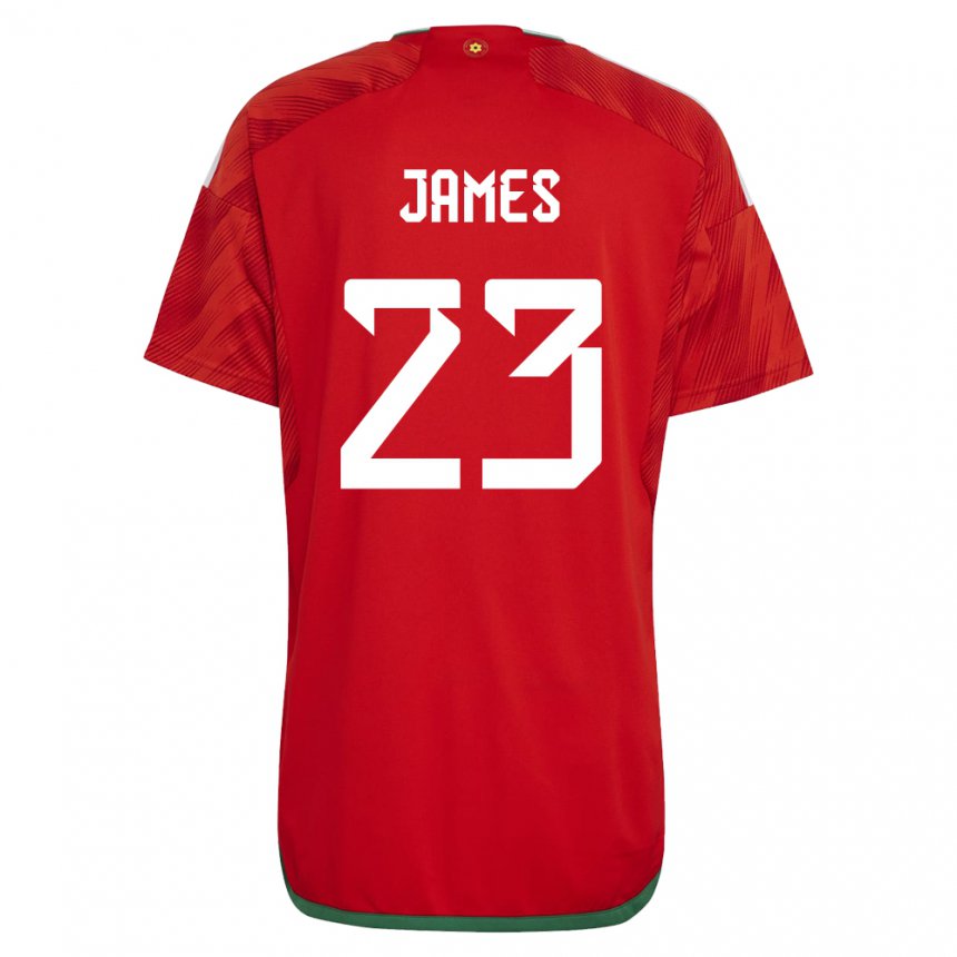 Mulher Camisola Galesa Jordan James #23 Vermelho Principal 22-24 Camisa