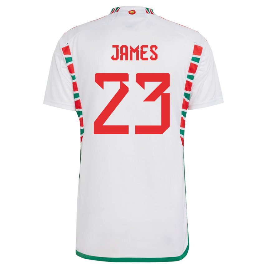Mulher Camisola Galesa Jordan James #23 Branco Alternativa 22-24 Camisa