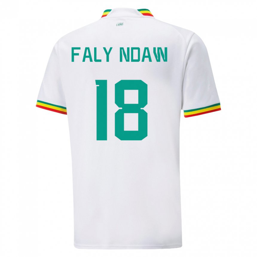 Criança Camisola Senegalesa Faly Ndaw #18 Branco Principal 22-24 Camisa