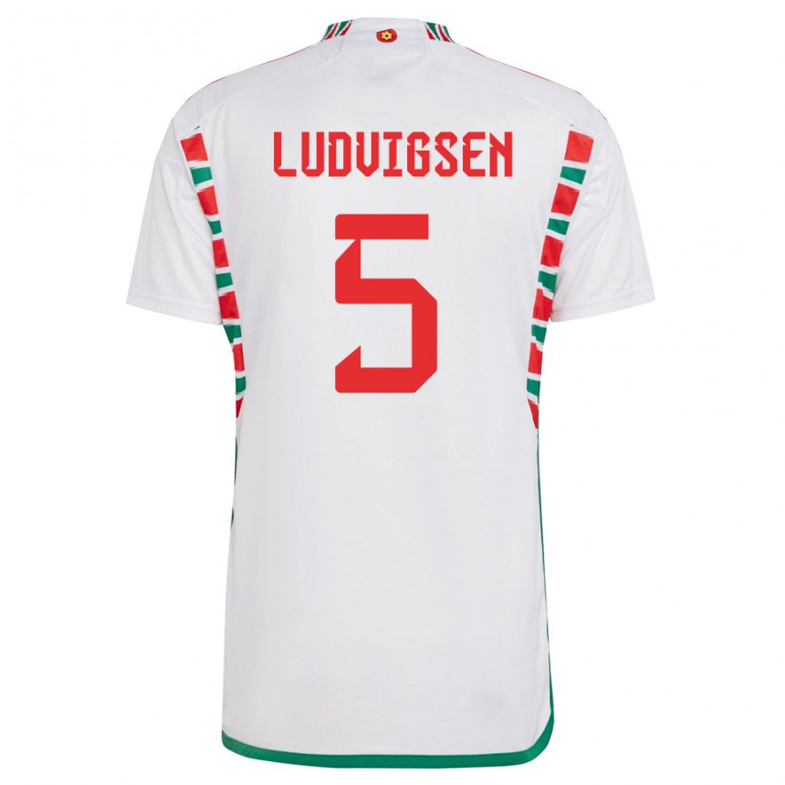 Homem Camisola Galesa Kai Ludvigsen #5 Branco Alternativa 22-24 Camisa