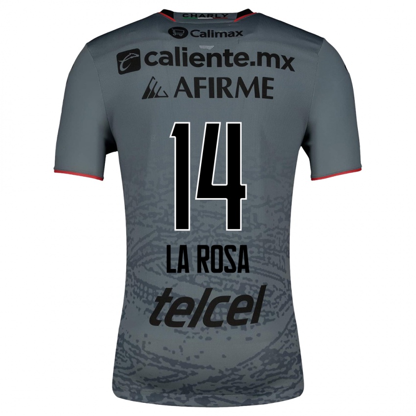 Mulher Camisola Joselyn De La Rosa #14 Cinza Alternativa 2023/24 Camisa