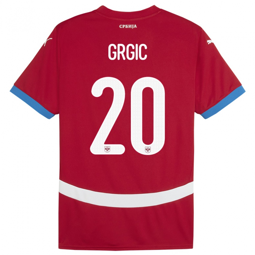Criança Camisola Sérvia Dario Grgic #20 Vermelho Principal 24-26 Camisa